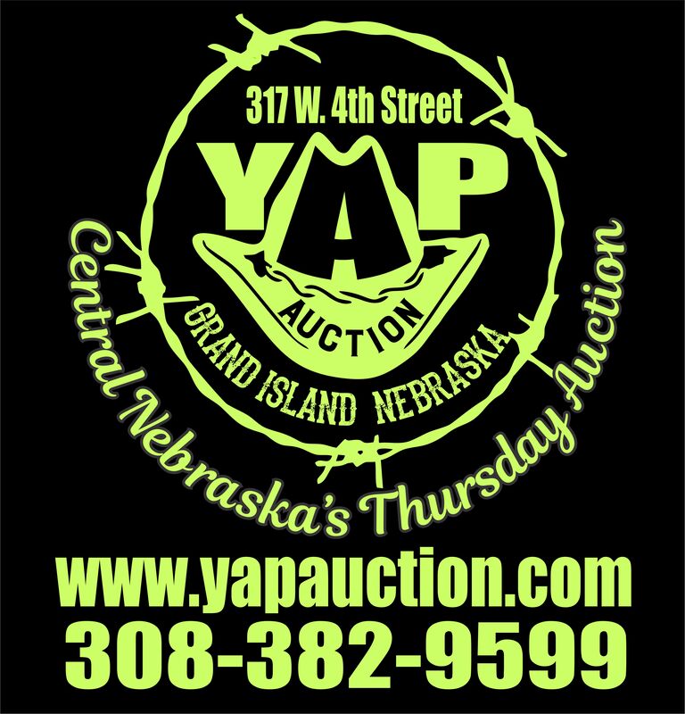 Your Auction Professionals