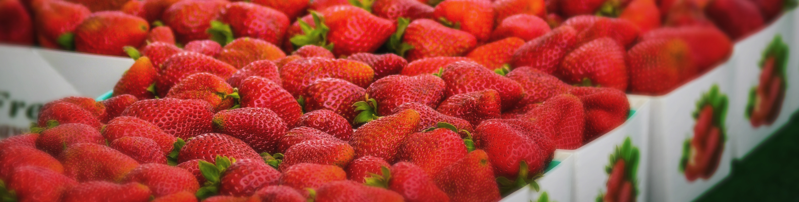 Camarillo Farmers Market
