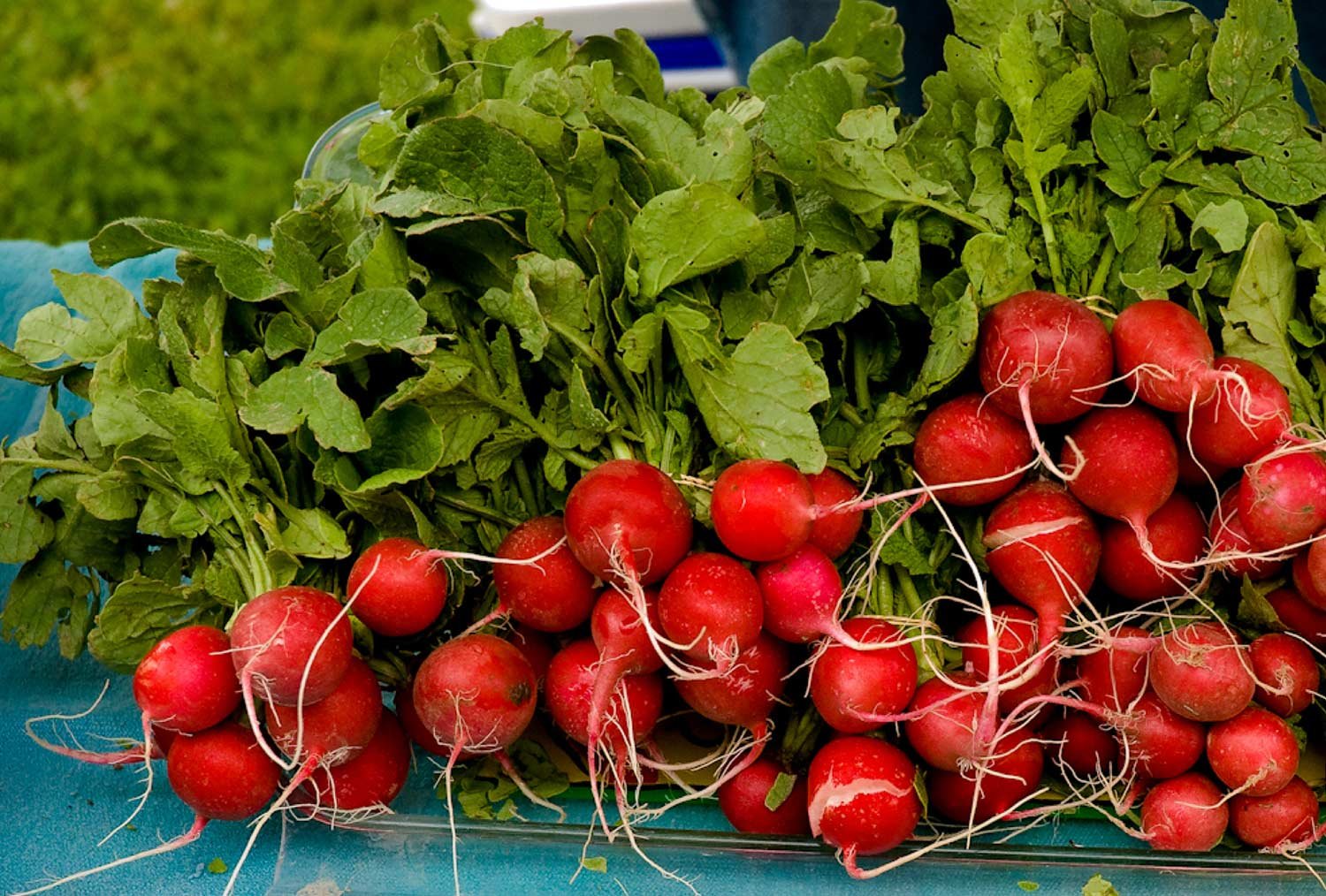 Downtown Farmers Market