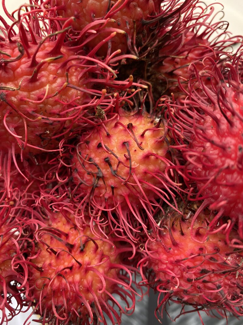 Hanalei Farmers Market