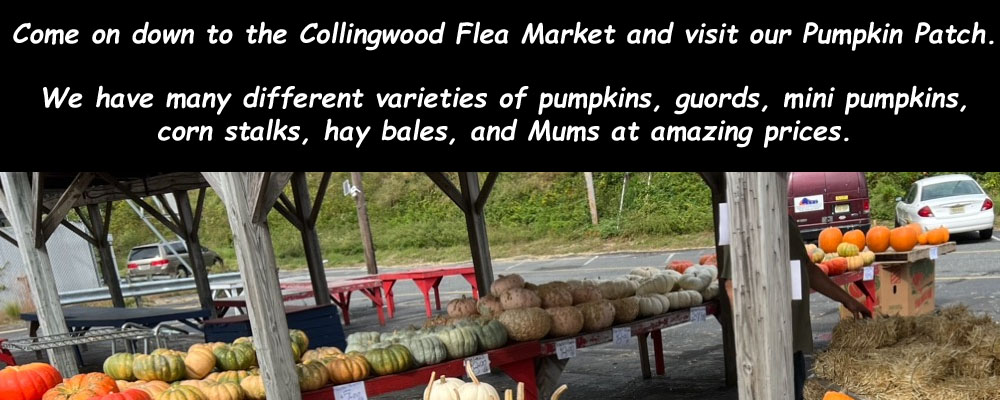 Collingwood Auction & Flea Market