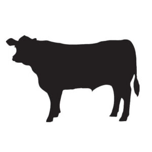 Sisseton Livestock Auction
