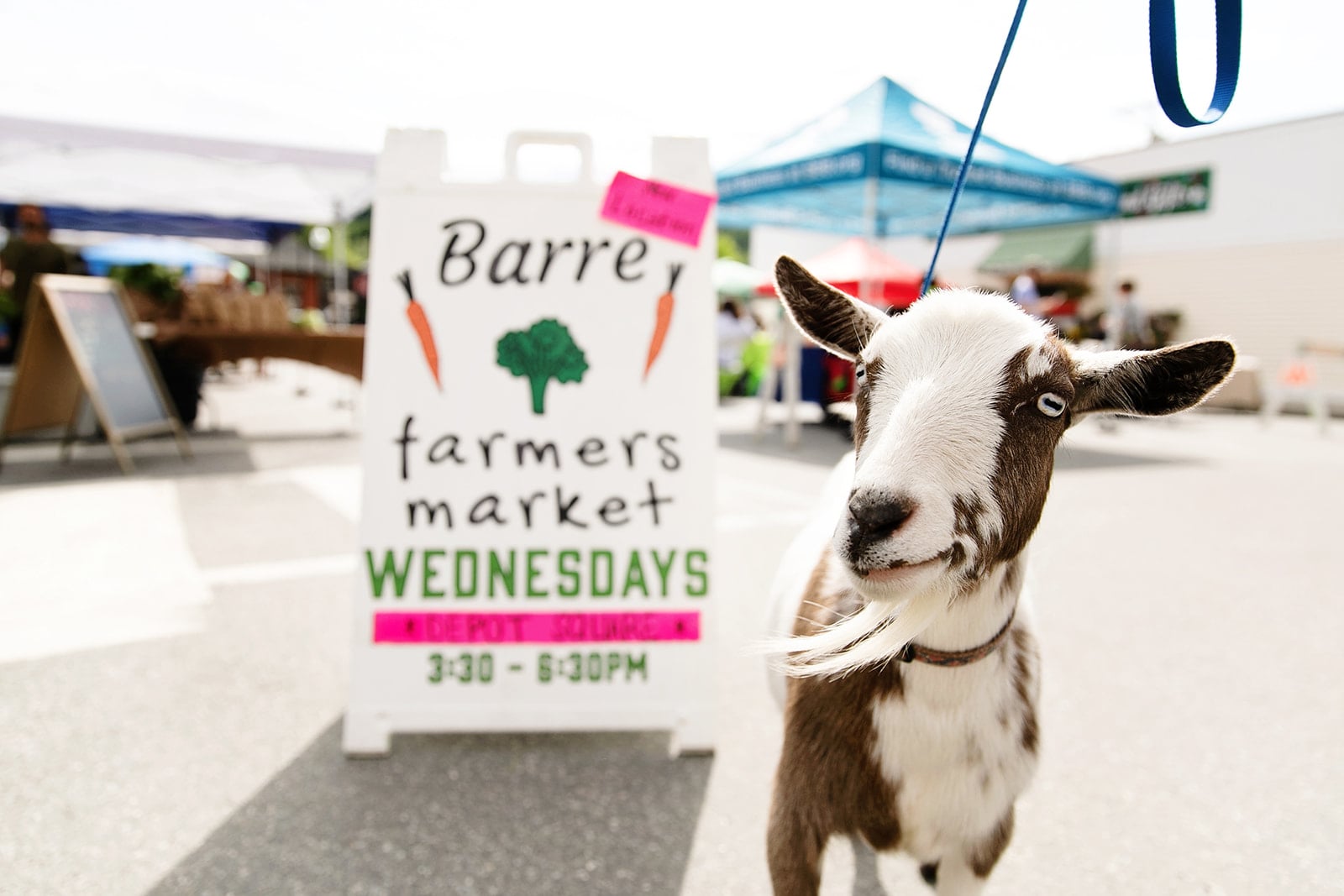 Barre Farmers Market