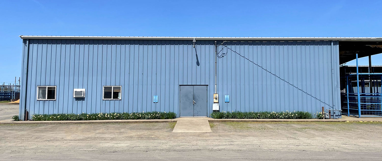 Lebanon Auction Yard