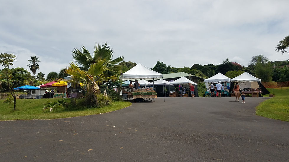 Pure Kona Green Market