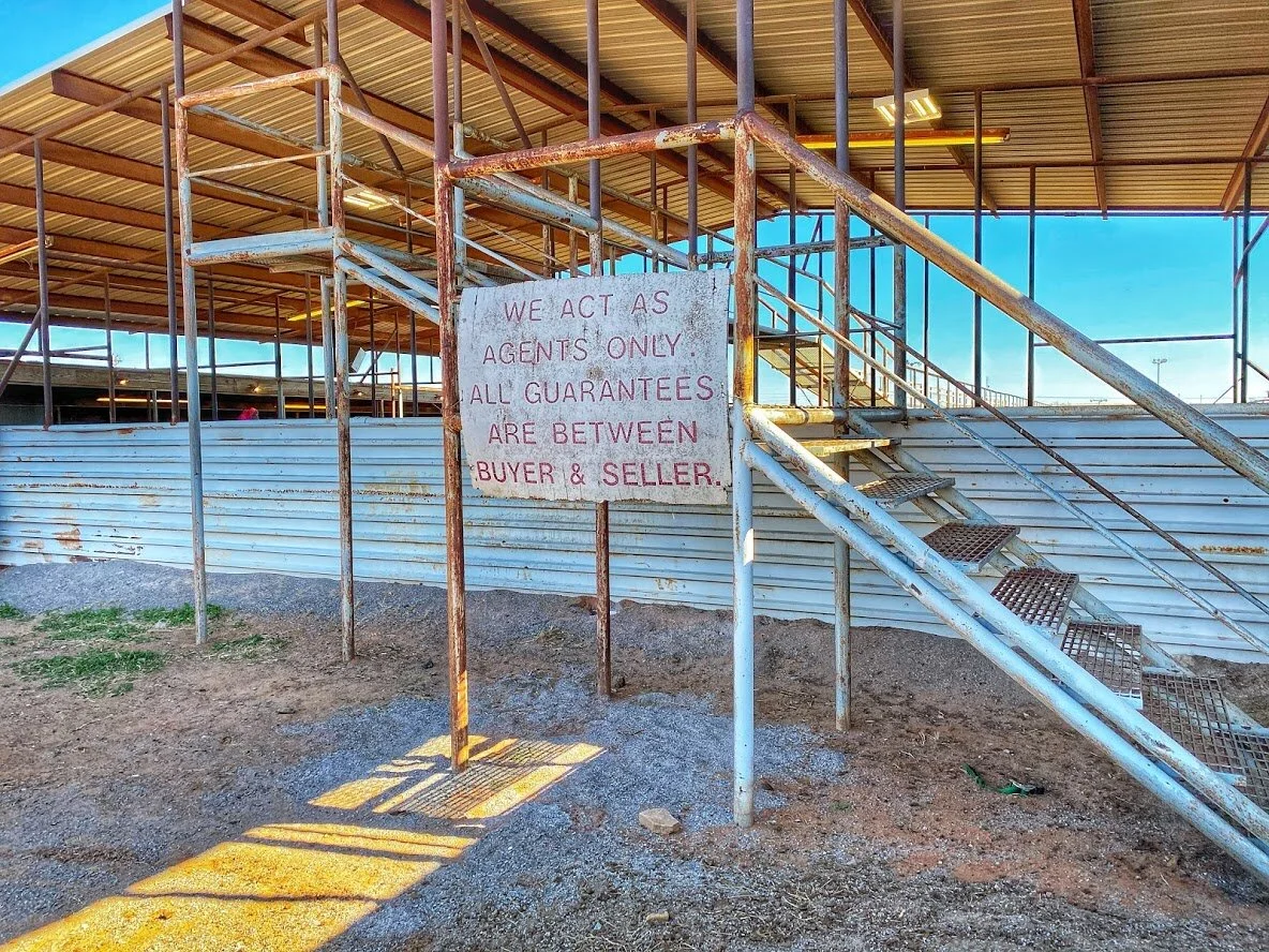 Elk City Livestock Auction