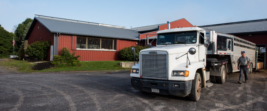 Empire Livestock — Dryden