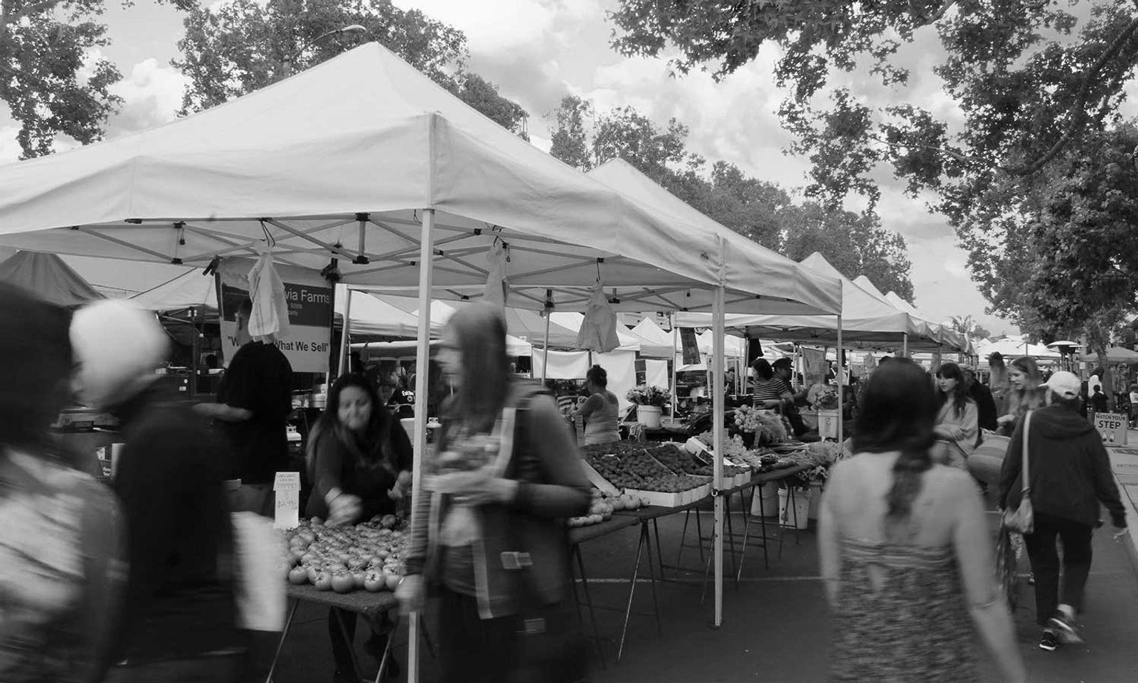 State Street Farmers Market