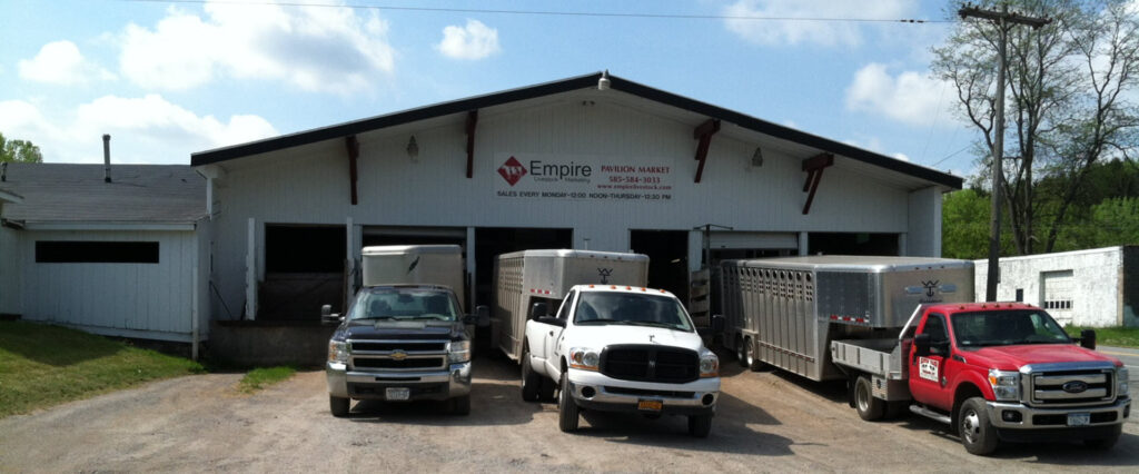 Empire Livestock — Pavilion