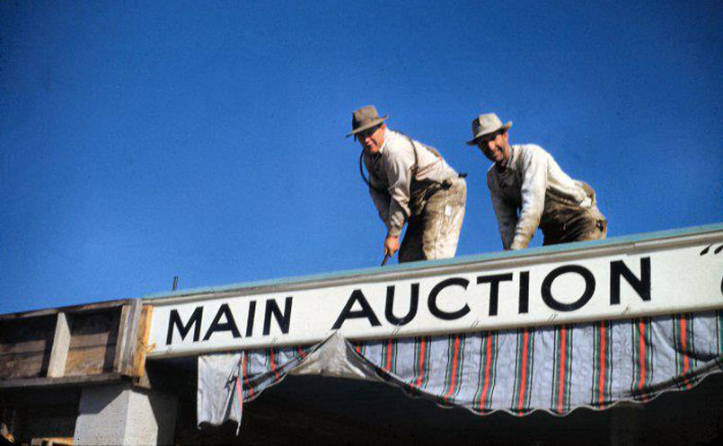 Main Auction Corp