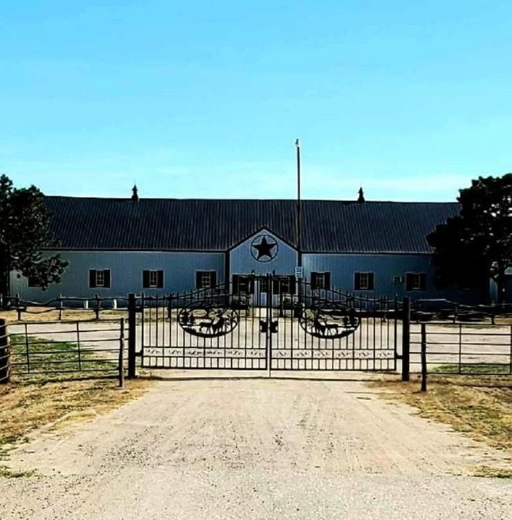 Nelson Alternative Livestock Auction logo