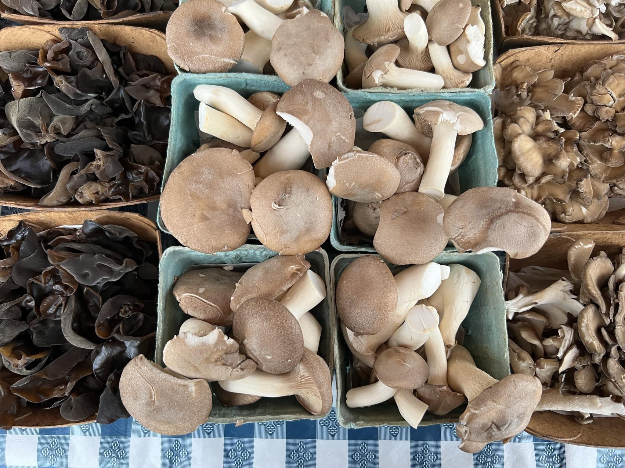 Falls Church Farmers Market