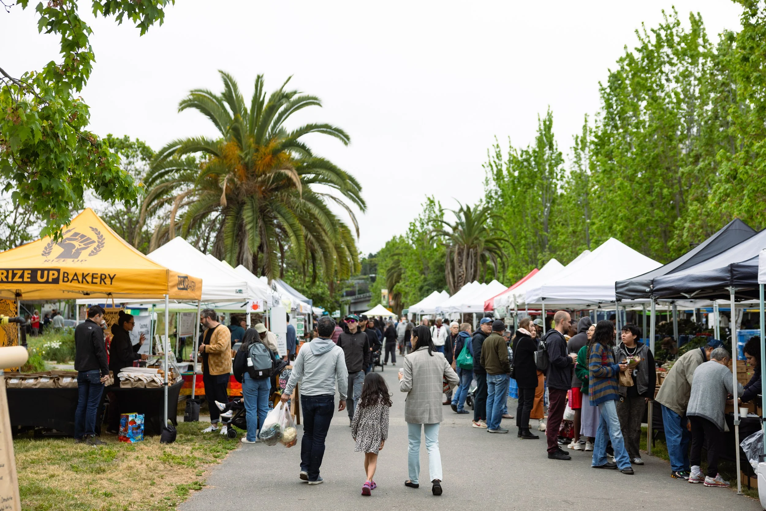 Grand Lake Farmers Market