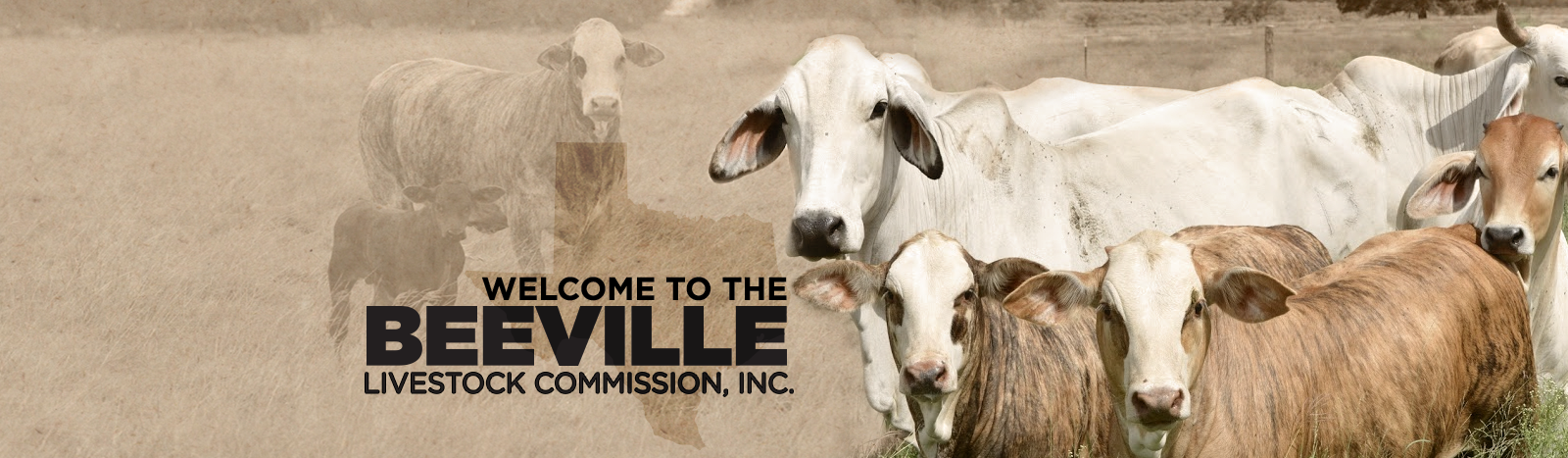Beeville Livestock Commission Livestock