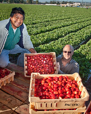 Laguna Hills Farmers Market