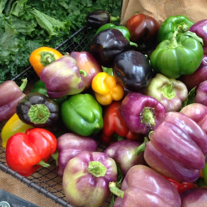 Rehoboth Beach Farmers Market