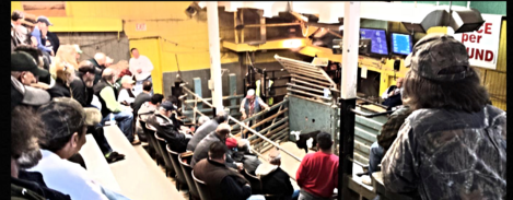 Hackettstown Livestock Auction