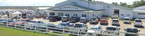 Tama Livestock Auction