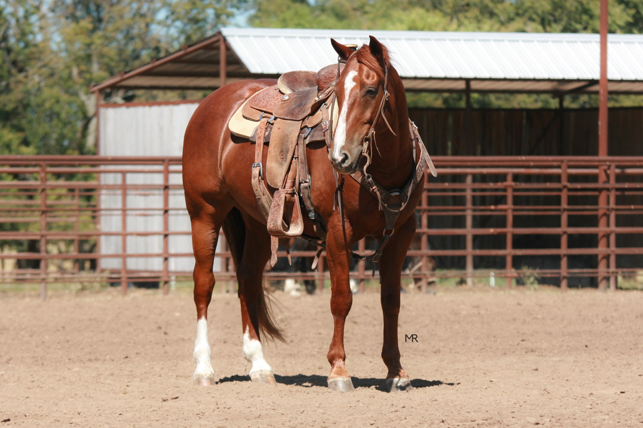 Heritage Livestock LLC