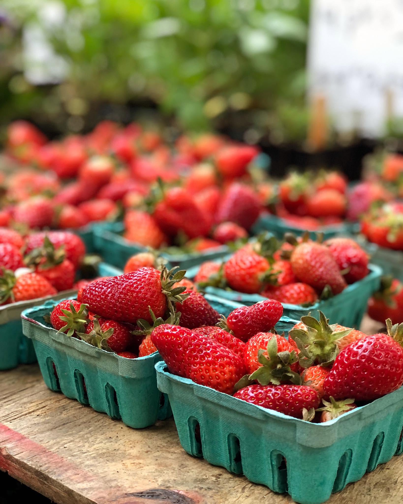 Brattleboro Area Farmers' Market