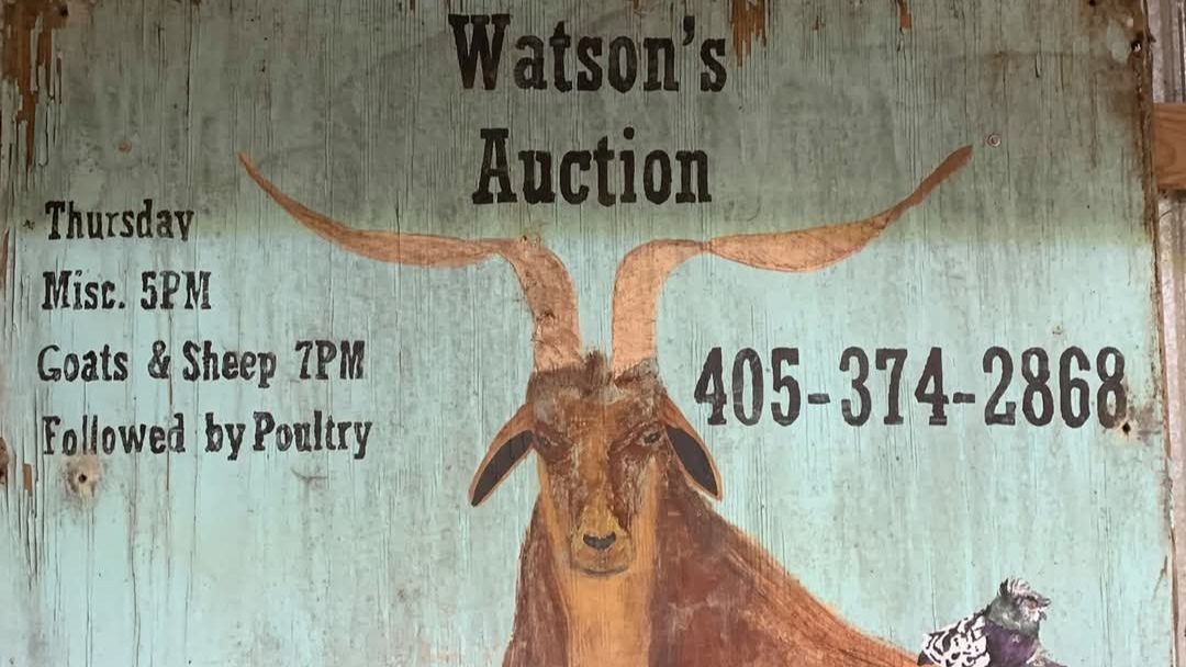The Chicken Coop Auction Service - Watson's Auction