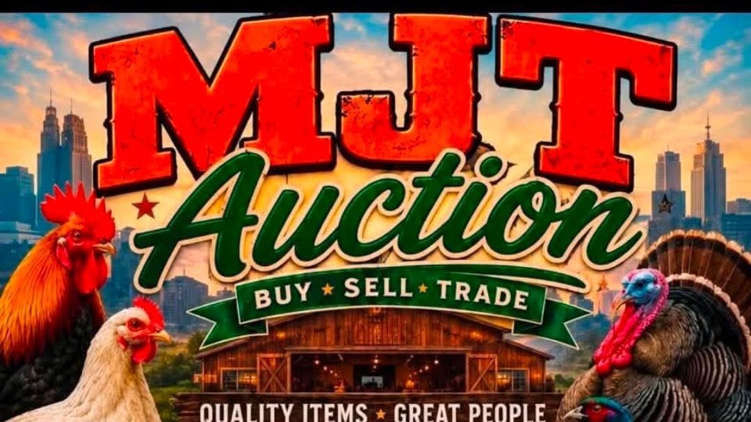 MJT Farm Auctions